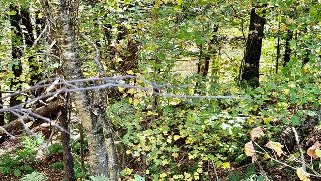 $80,000 | 212 Hillcrest Drive, Johnson, VT 05656