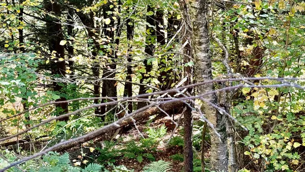 $65,000 | 212 Hillcrest Drive, Johnson, VT 05656