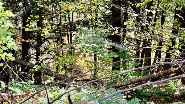 $65,000 | 212 Hillcrest Drive, Johnson, VT 05656