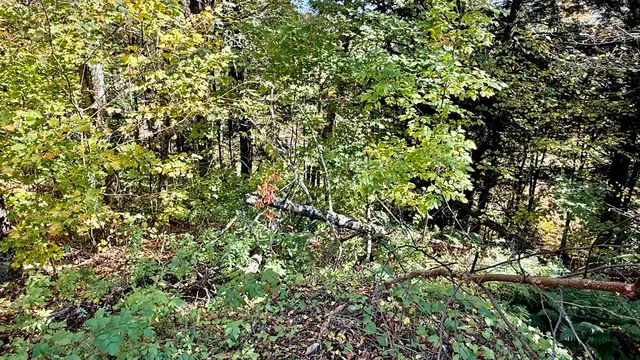 $80,000 | 212 Hillcrest Drive, Johnson, VT 05656