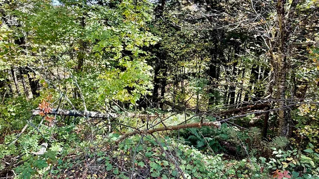 $70,000 | 212 Hillcrest Drive, Johnson, VT 05656