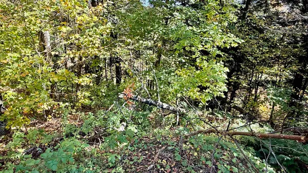 $65,000 | 212 Hillcrest Drive, Johnson, VT 05656