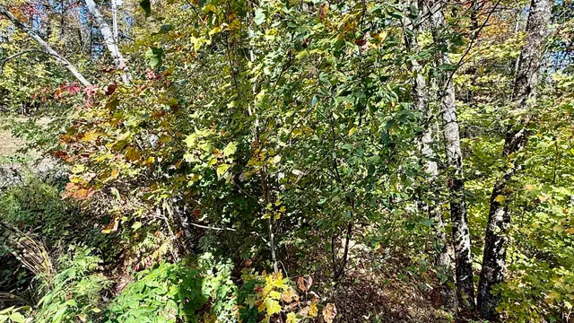 $80,000 | 212 Hillcrest Drive, Johnson, VT 05656