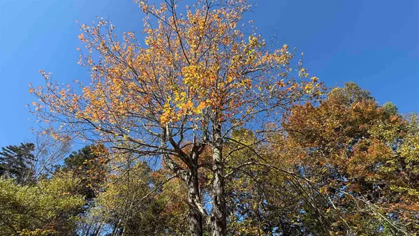 $65,000 | 212 Hillcrest Drive, Johnson, VT 05656