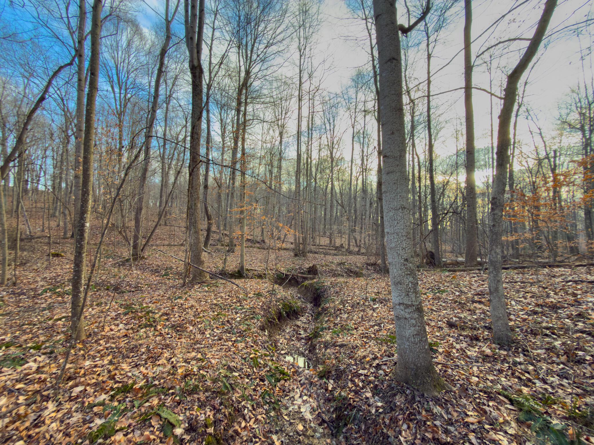 0 Long Fork Road Piketon, OH 45661 - Photo 23 of 37 Long fork rd.-23