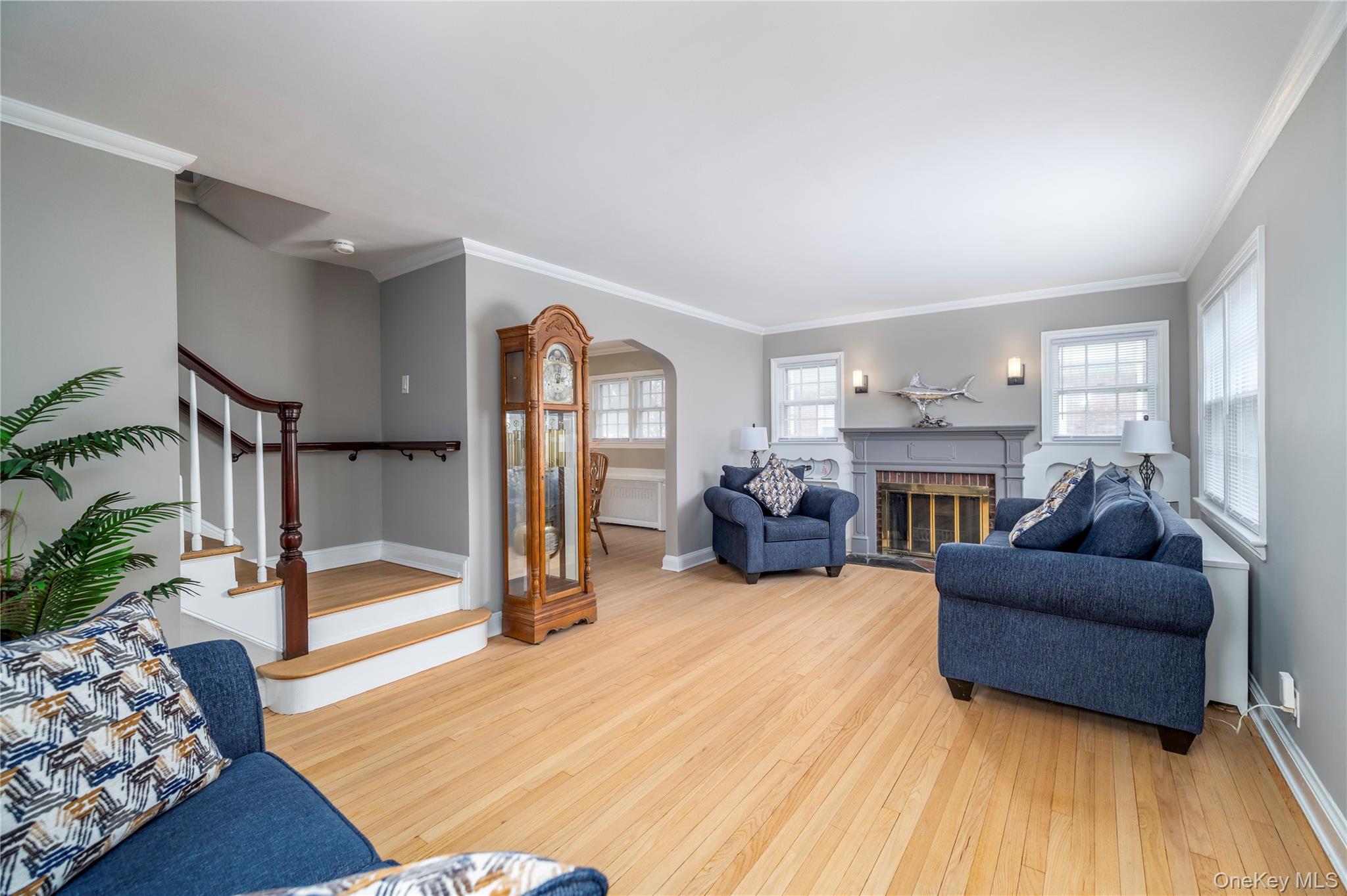 135 Chestnut Street Lynbrook, NY 11563 - Photo 3 of 18 a living room with furniture and a fireplace
