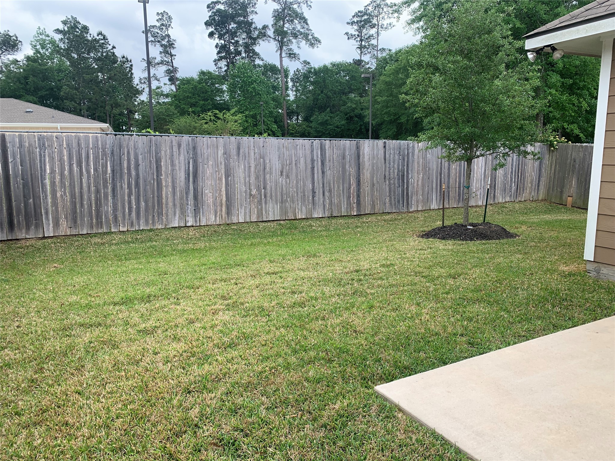 1929 Briar Grove Drive Conroe, TX 77301 - Photo 15 of 17 a view of a backyard