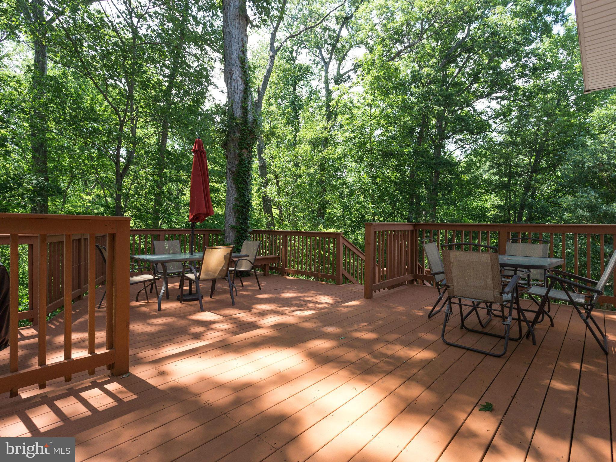 8110 Kings Point Court Springfield, VA 22153 - Photo 12 of 26 Exterior (General)