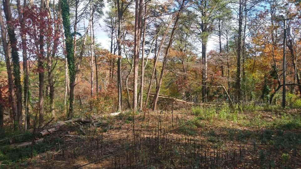0 Forest North Road, Unit 58 Hixson, TN 37343 - Photo 11 of 24 11