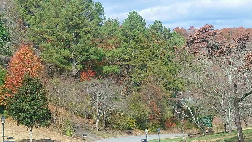 0 Forest North Road, Unit 58 Hixson, TN 37343 - Photo 12 of 24 12