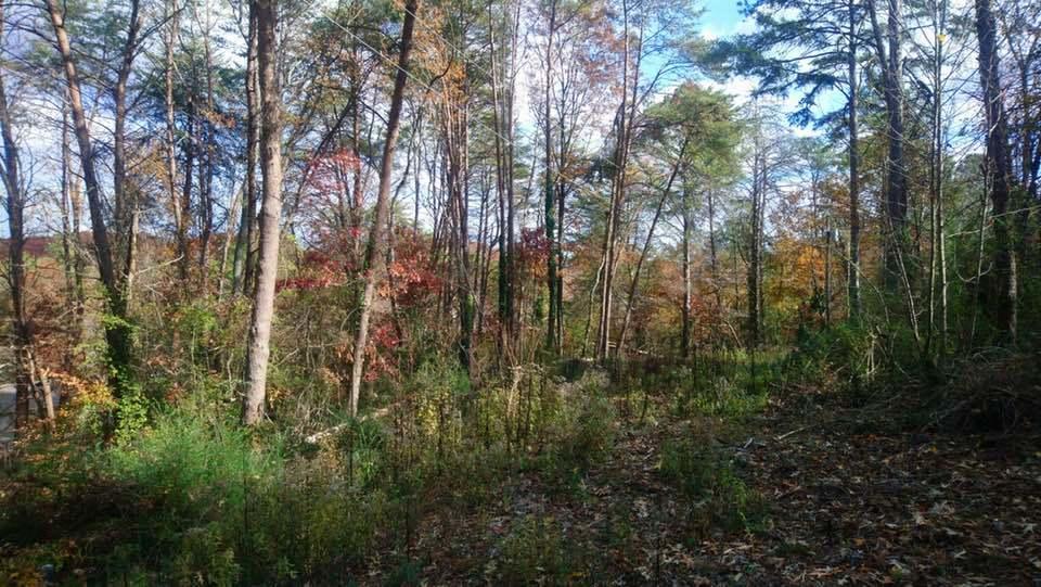 0 Forest North Road, Unit 58 Hixson, TN 37343 - Photo 13 of 24 13