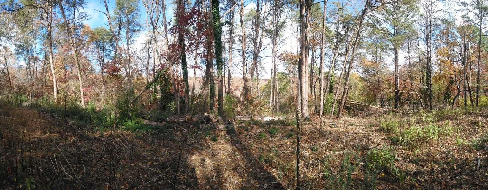 0 Forest North Road, Unit 58 Hixson, TN 37343 - Photo 10 of 24 10