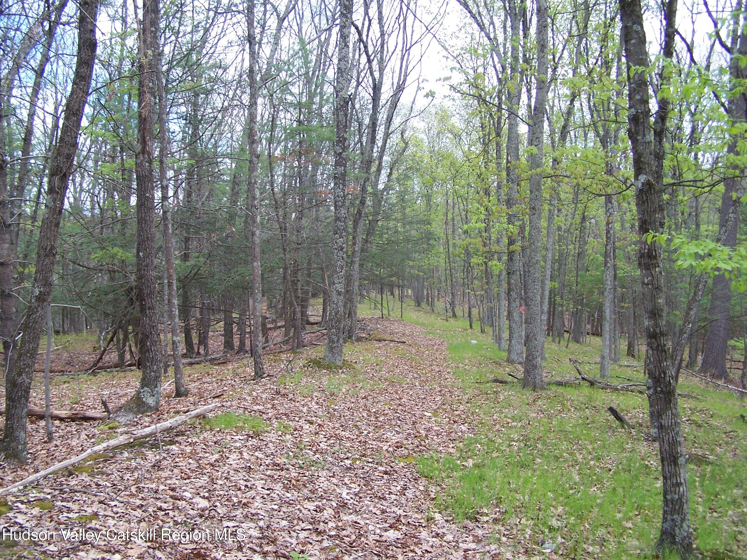 Tbd Heinle Road Kingston, NY 12401 - Photo 4 of 17 Right Of Way