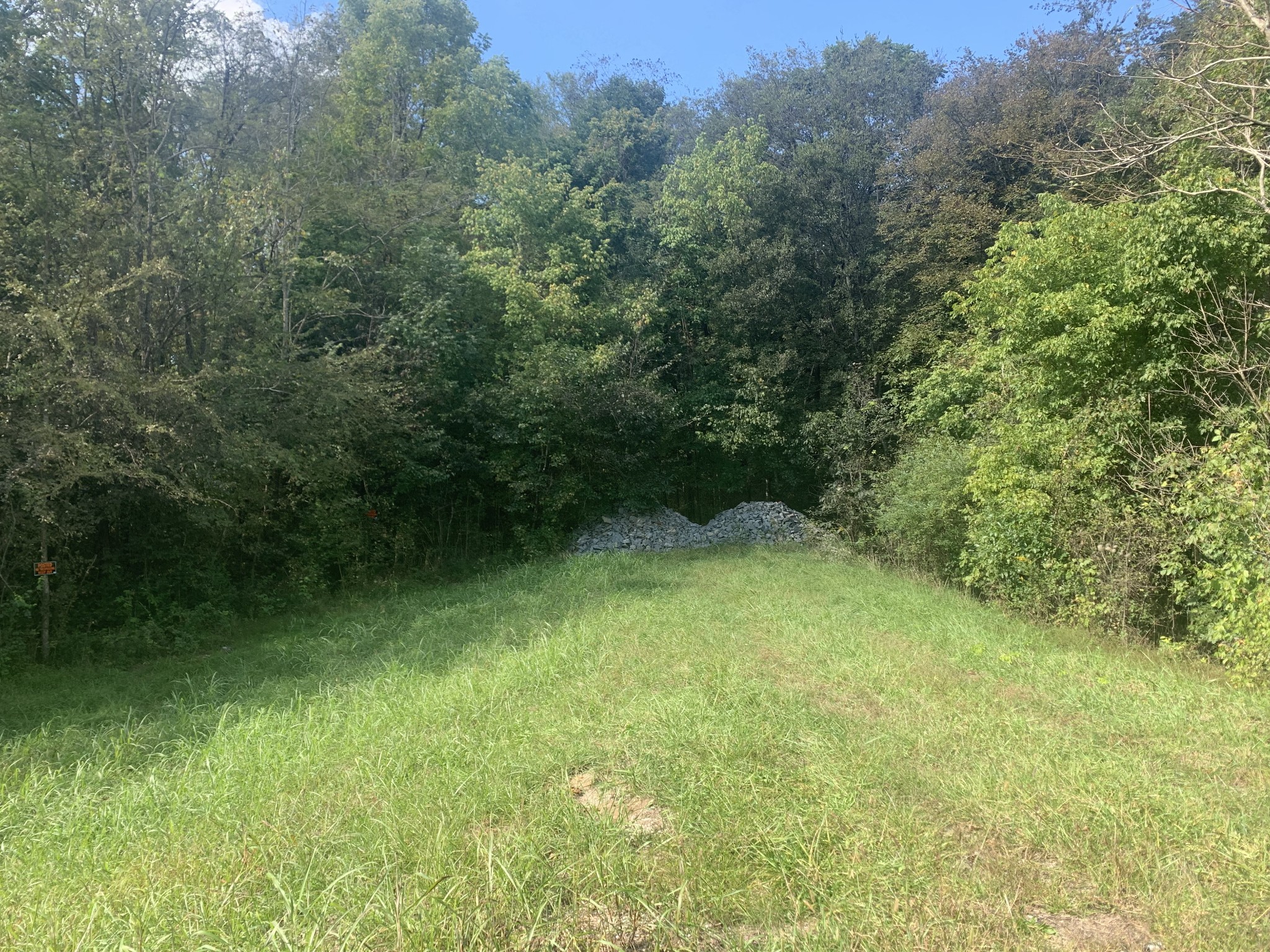 0 Pickard Hollow Road Mount Pleasant, TN 38474 - Photo 1 of 10 Gallery Image 1