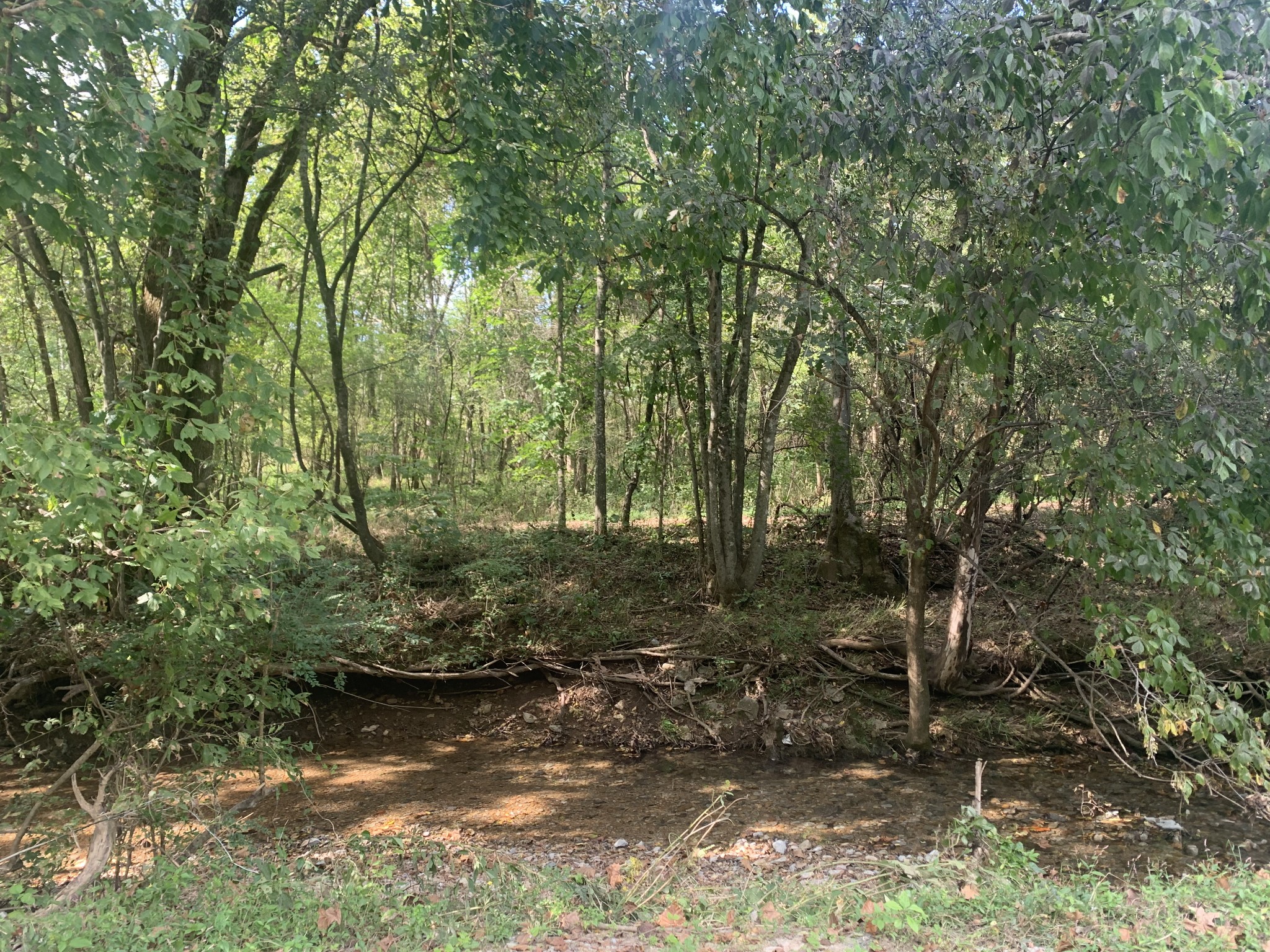 0 Pickard Hollow Road Mount Pleasant, TN 38474 - Photo 10 of 10 Gallery Image 10