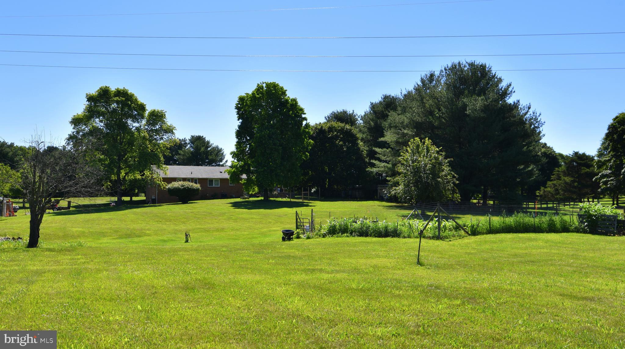 243 Grove Farm Road Front Royal, VA 22630 - Photo 50 of 70 Rear yard.