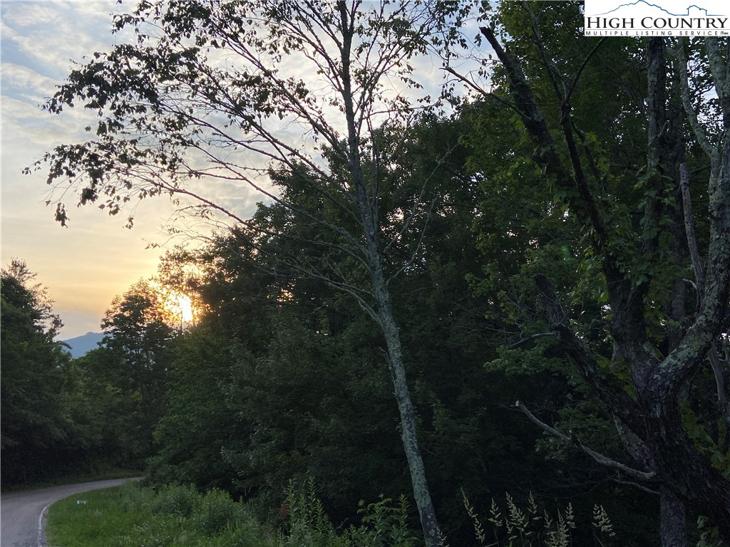 Lot 5 Snowridge Road Banner Elk, NC 28604 - Photo 1 of 1 Gallery Image 1