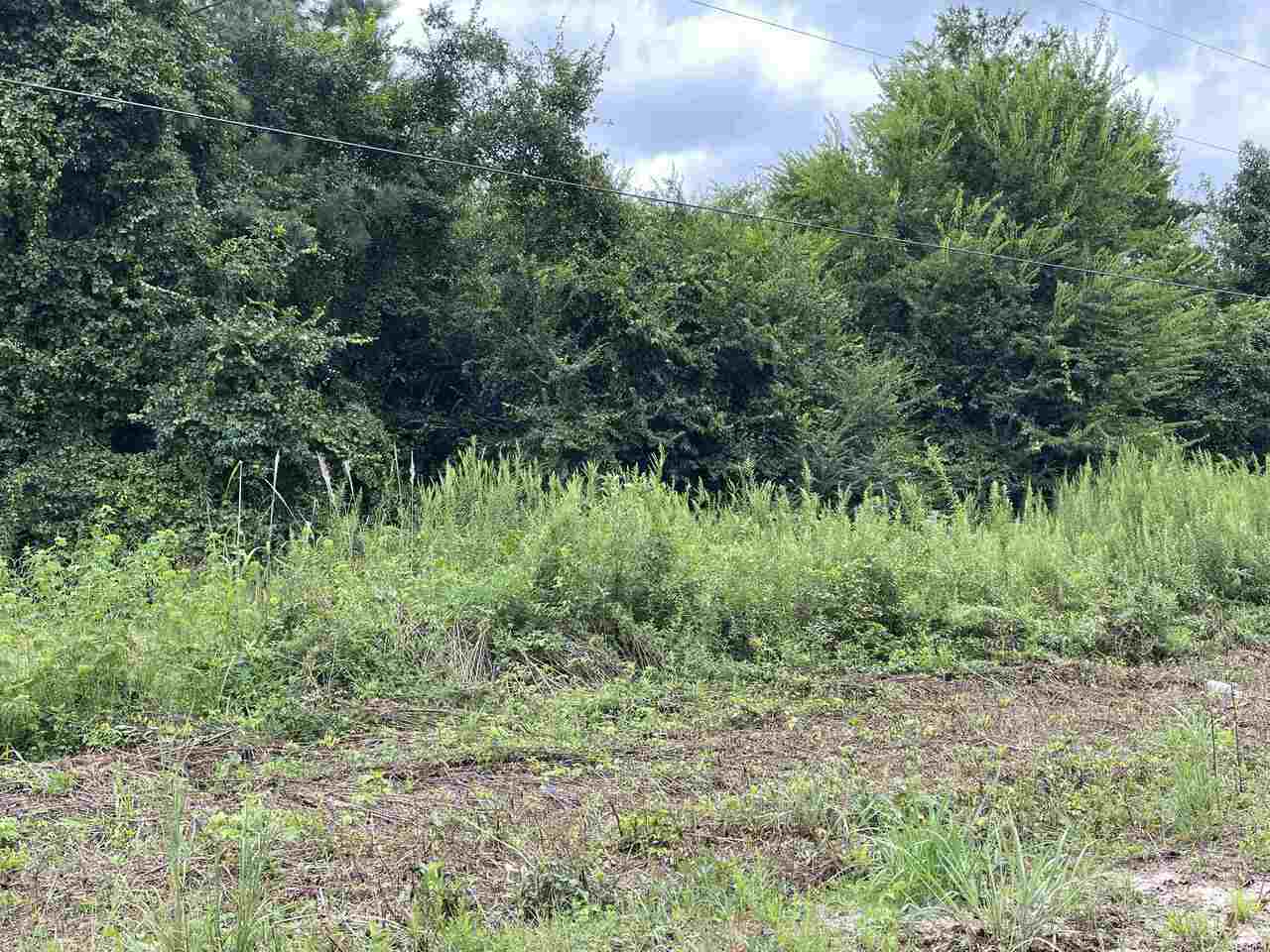 0 Tom Brown Road, Unit LOT 12 Sparta, GA 31087 - Photo 1 of 1