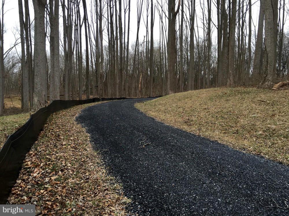 23360 Kirk Branch Road Middleburg, VA 20117 - Photo 1 of 8 Driveway,east, to homesite
