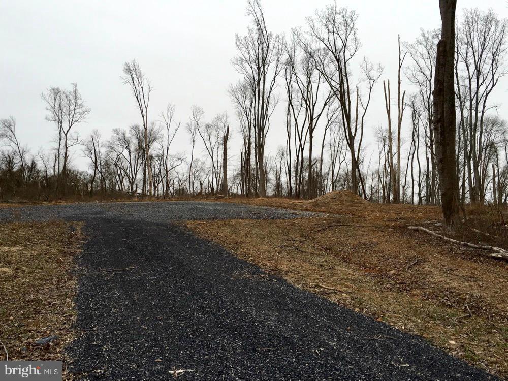 23360 Kirk Branch Road Middleburg, VA 20117 - Photo 4 of 8 Homesite