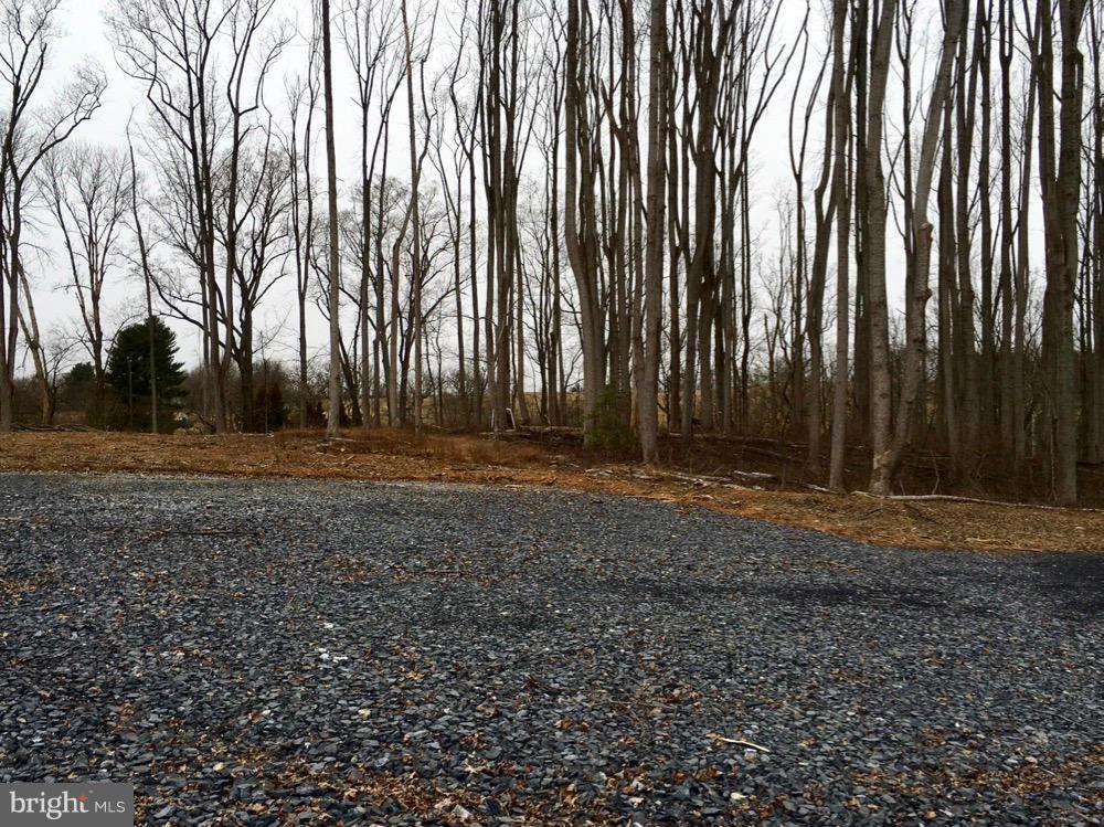 23360 Kirk Branch Road Middleburg, VA 20117 - Photo 5 of 8 Homesite(a)