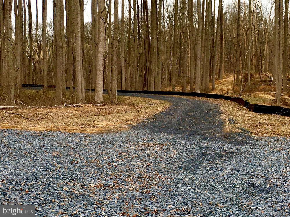 23360 Kirk Branch Road Middleburg, VA 20117 - Photo 6 of 8 Driveway,north, from homesite