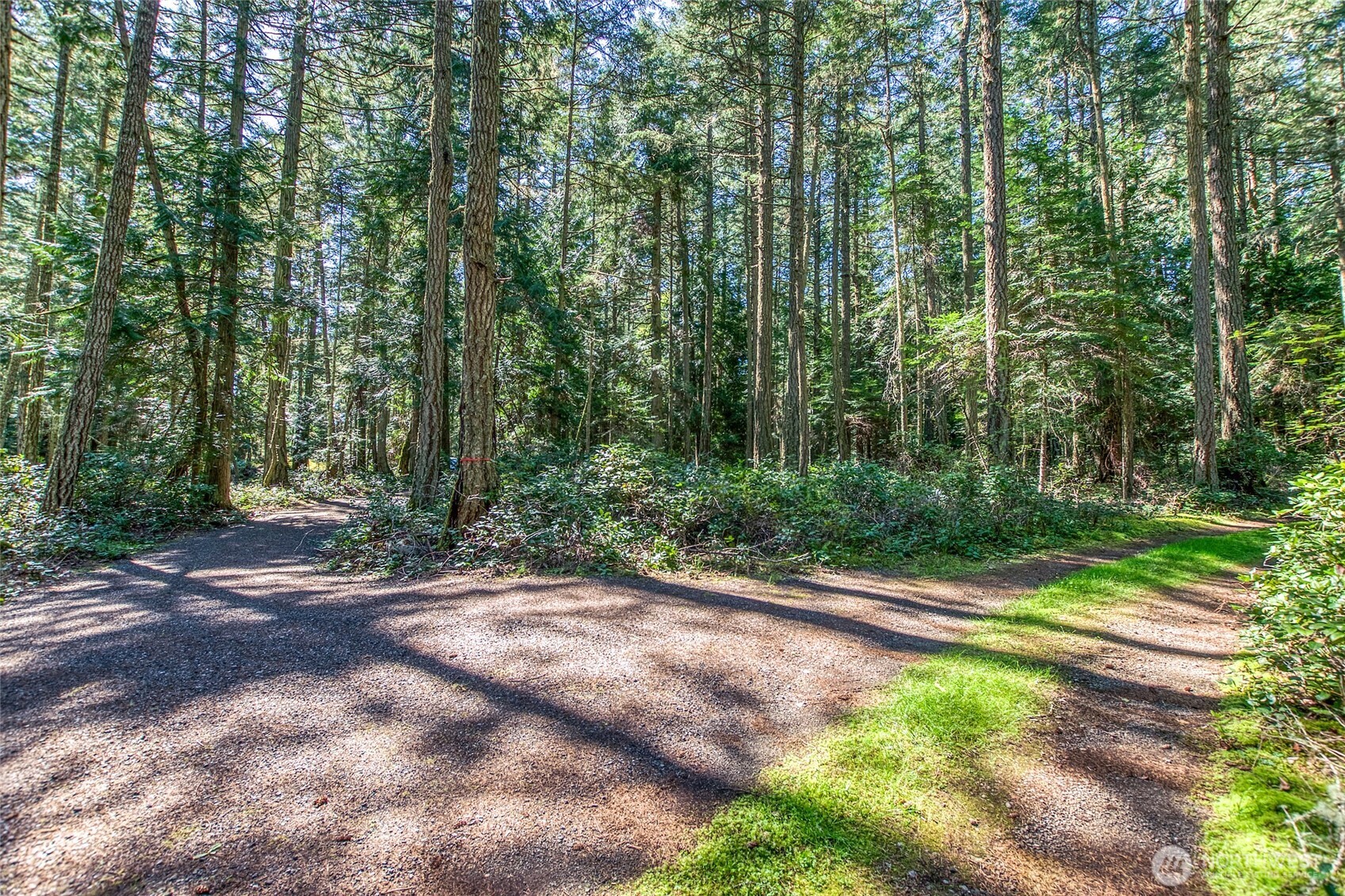 0 Tibbs Road Shaw Island, WA 98286 - Photo 12 of 36 Gallery Image 12
