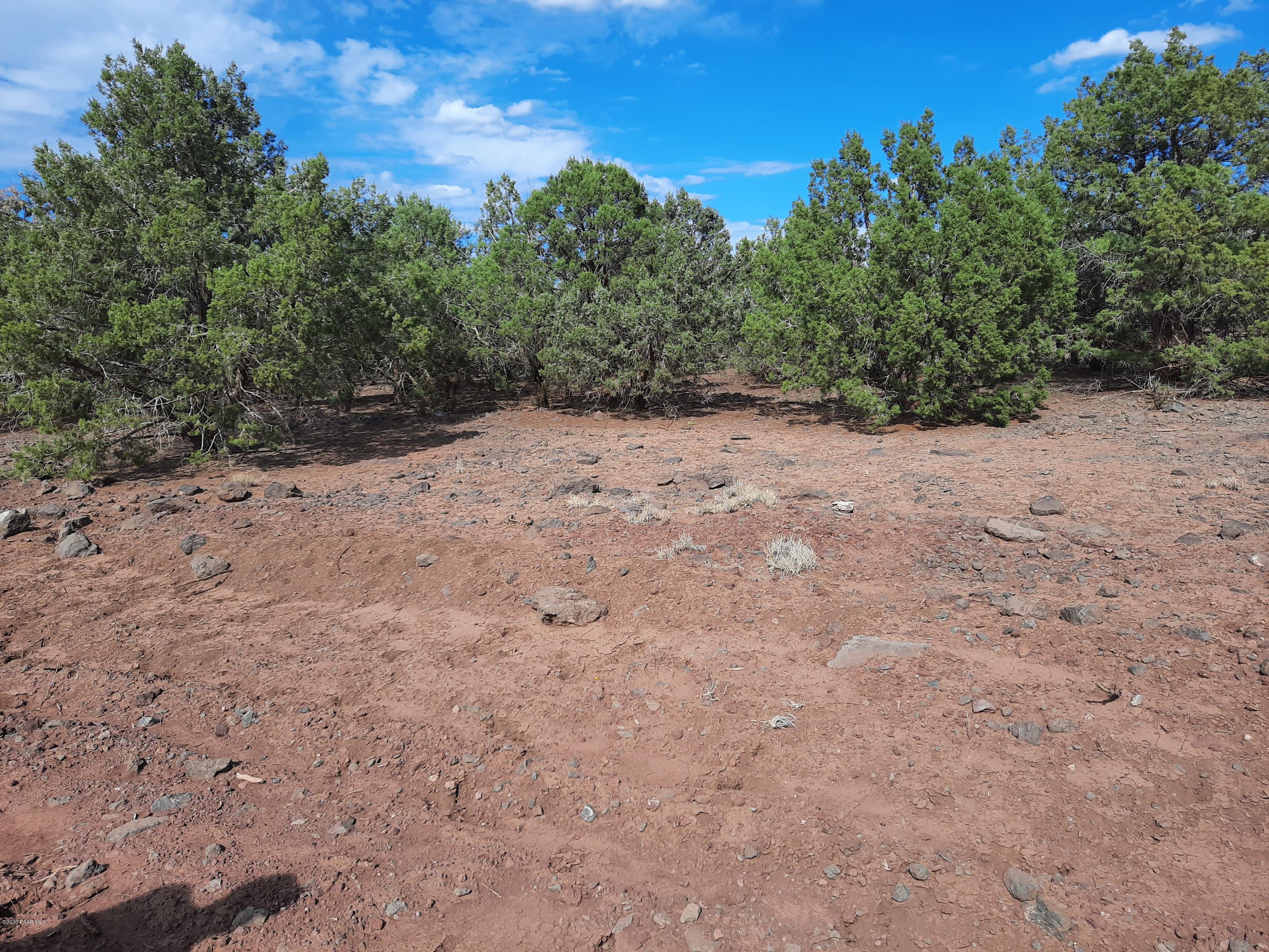 3093 Cumberland Road Williams, AZ 86046 - Photo 1 of 13 20201009_135248