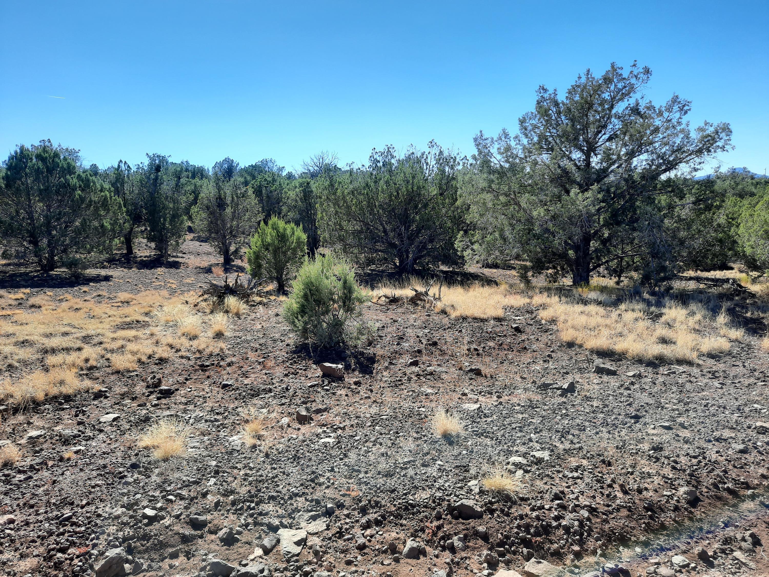 3093 Cumberland Road Williams, AZ 86046 - Photo 4 of 13 20201015_141229