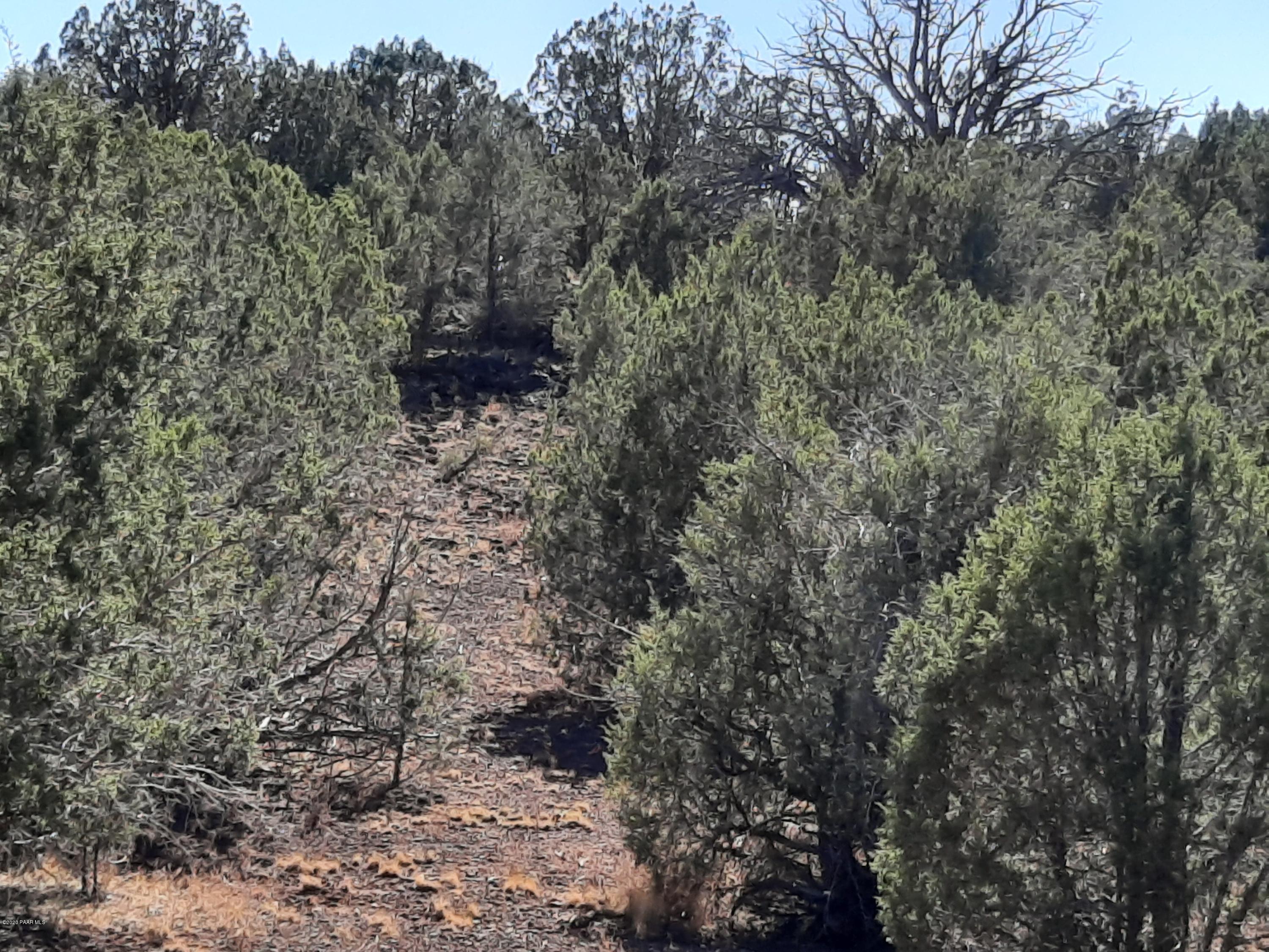 3093 Cumberland Road Williams, AZ 86046 - Photo 5 of 13 20201015_141338