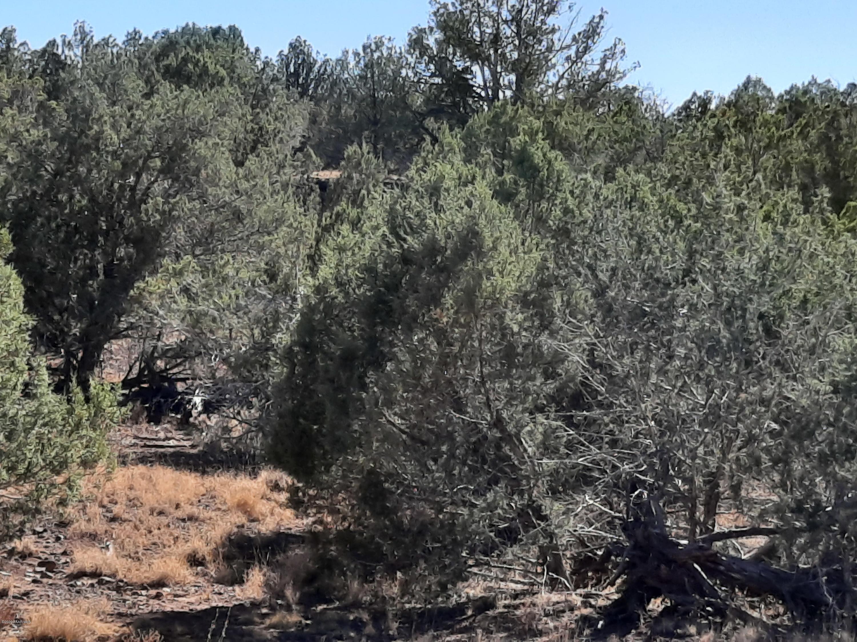 3093 Cumberland Road Williams, AZ 86046 - Photo 6 of 13 20201015_141450