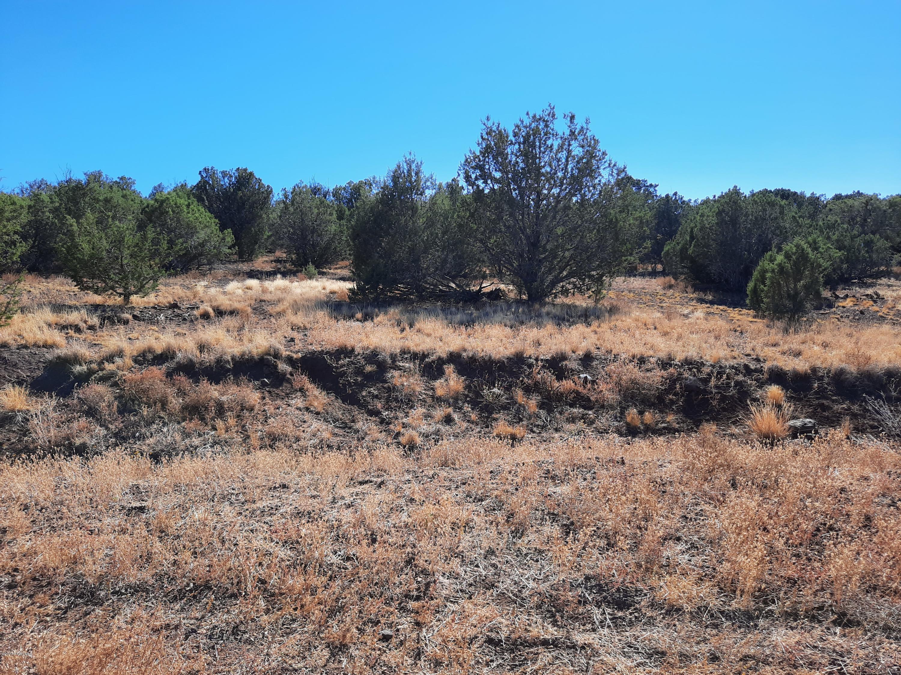 3093 Cumberland Road Williams, AZ 86046 - Photo 8 of 13 20201015_142114
