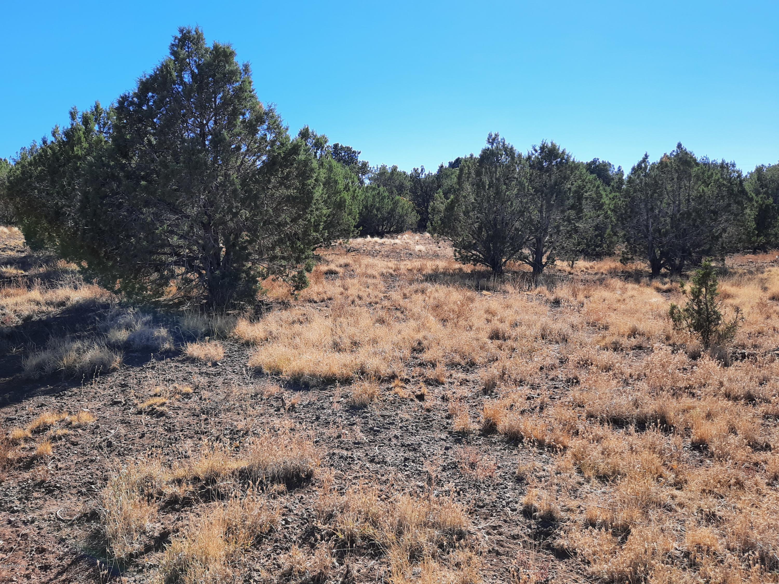 3093 Cumberland Road Williams, AZ 86046 - Photo 10 of 13 20201015_142532