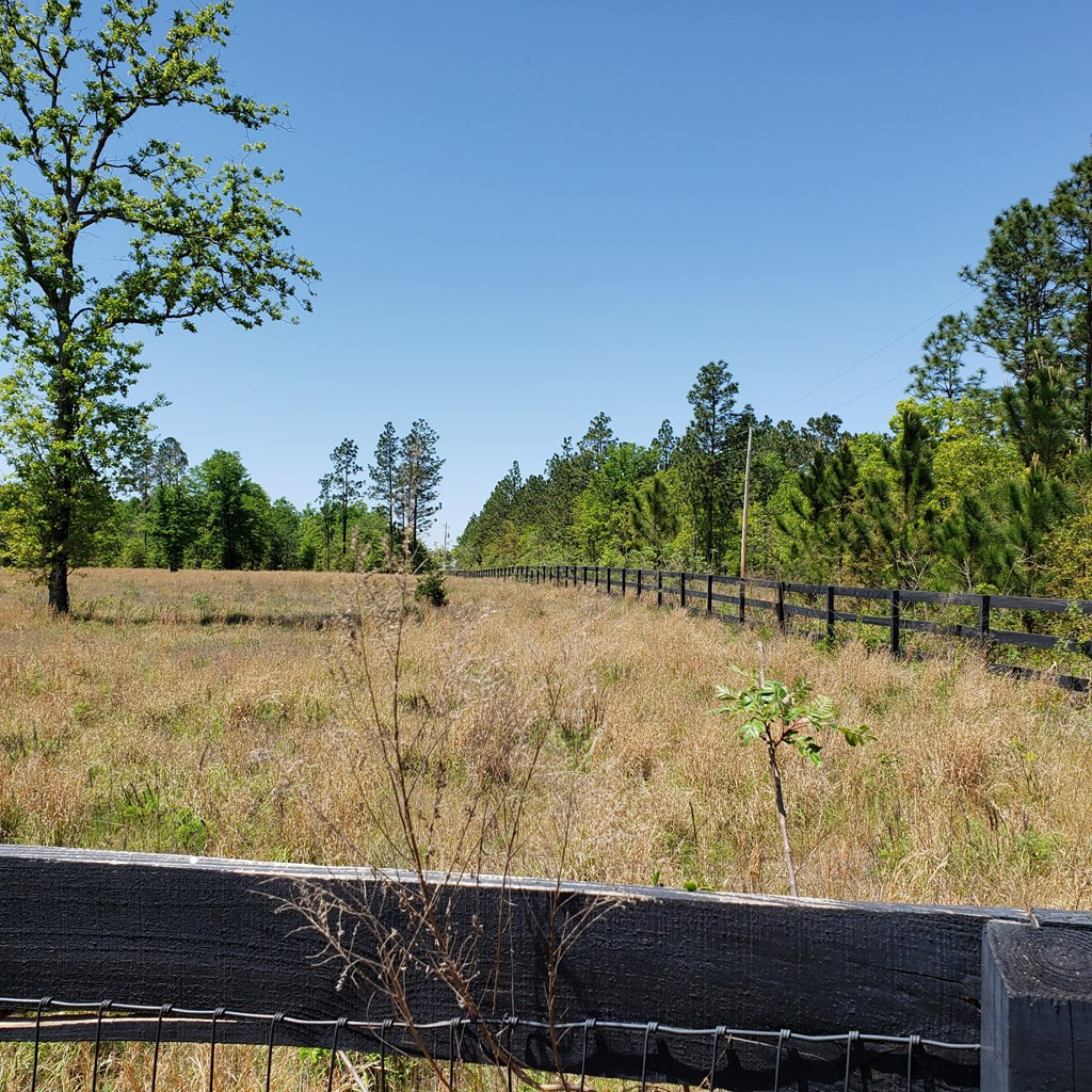 1604 Oak Ridge Club Road Windsor, SC 29856 - Photo 2 of 6