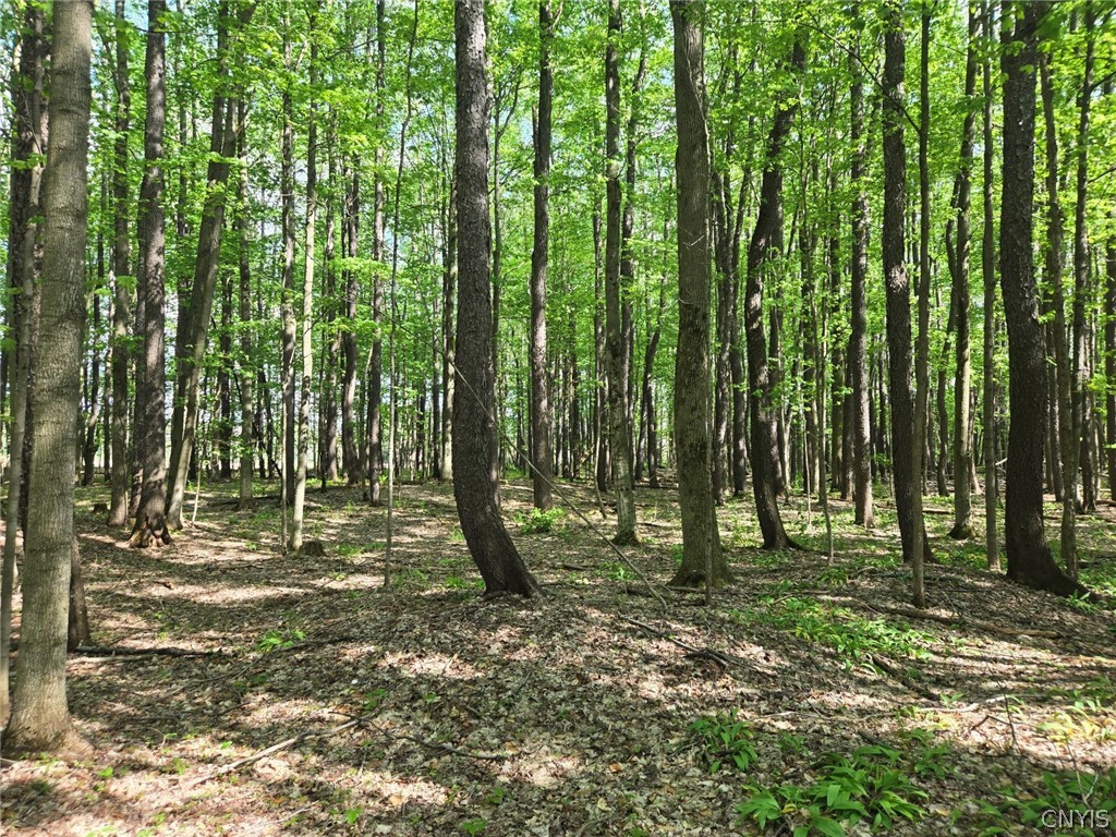 Pochuck Road Bliss, NY 14024 - Photo 9 of 23