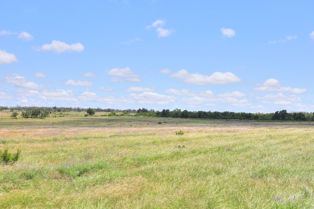 2600 Reservation Road Harper, TX 78631 - Photo 14 of 16