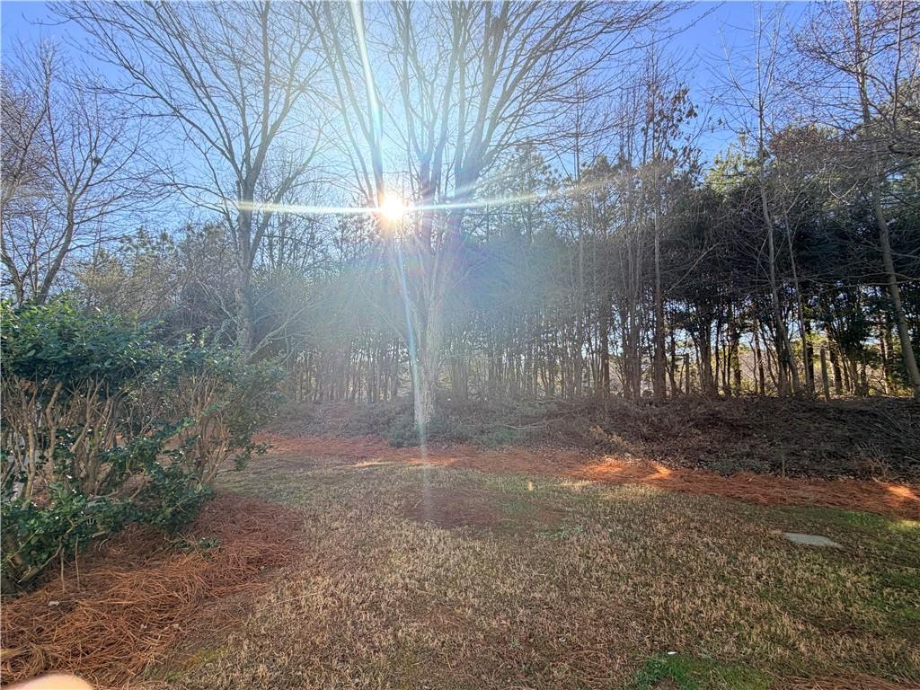 2576 Gadsen Walk Northwest Duluth, GA 30097 - Photo 33 of 33