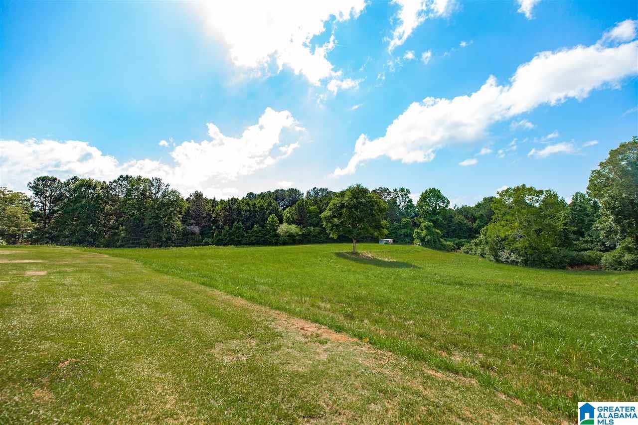 3784 Dean Road Pinson, AL 35126 - Photo 44 of 47