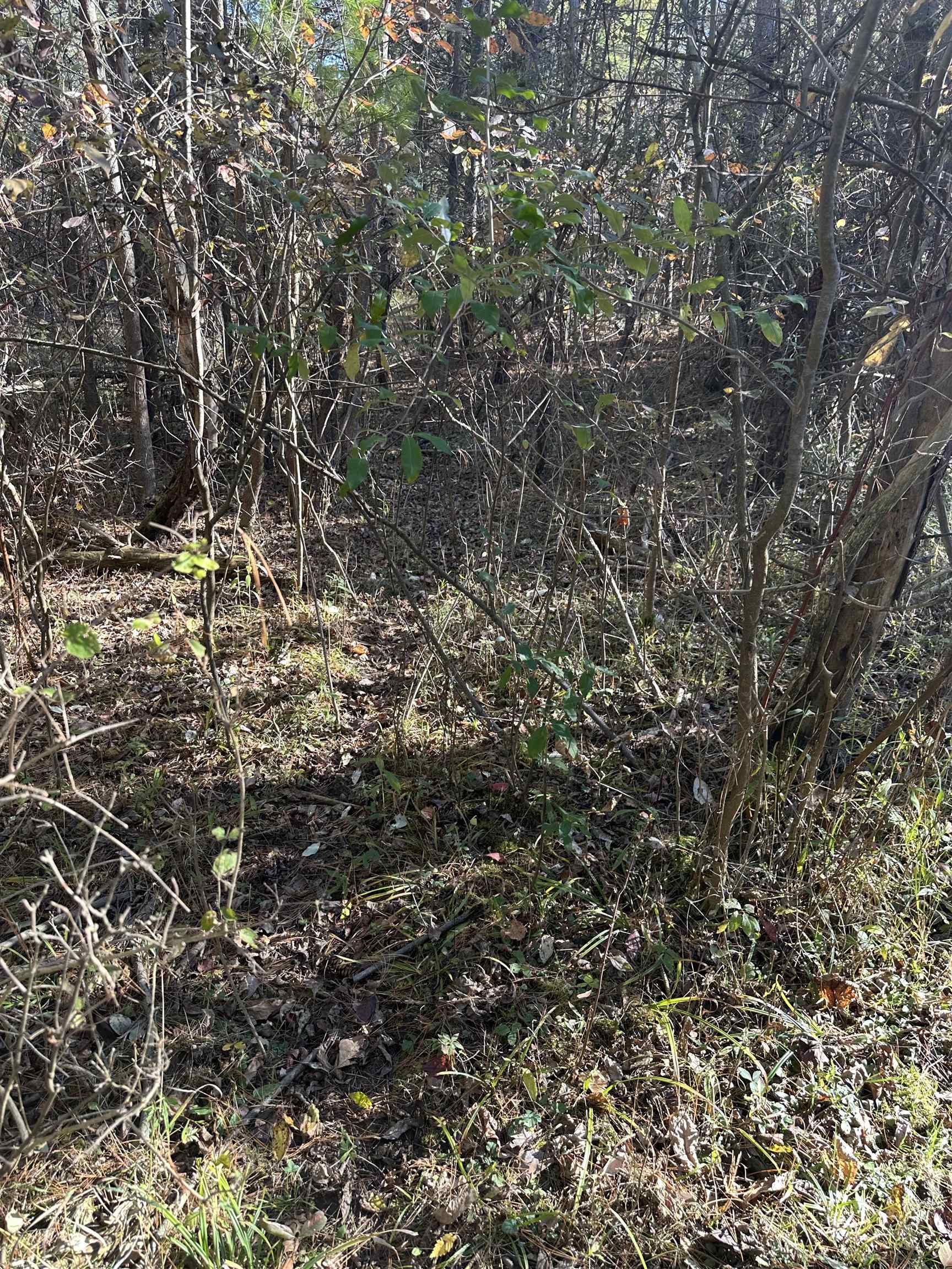 0 Drier Road Standish, MI 48658 - Photo 23 of 34