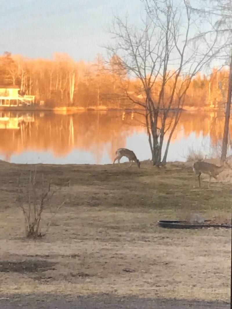 4728 Dow Road Saginaw, MN 55779 - Photo 27 of 49