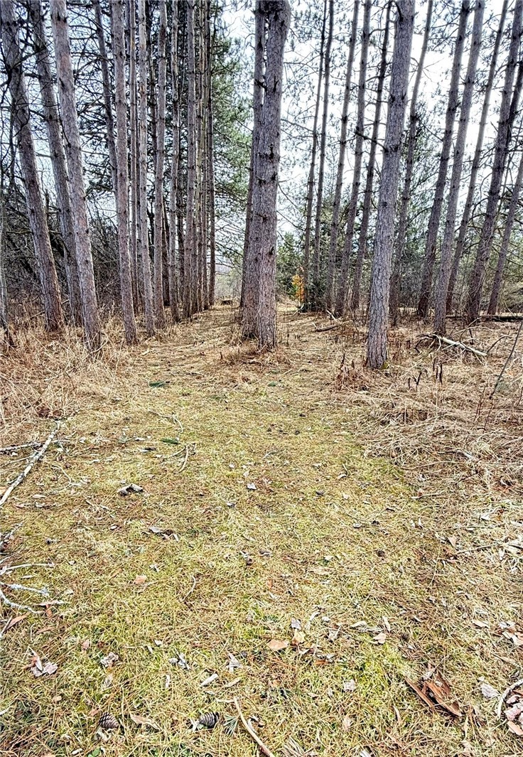 458 Miller Road Pittsfield, NY 13411 - Photo 36 of 39