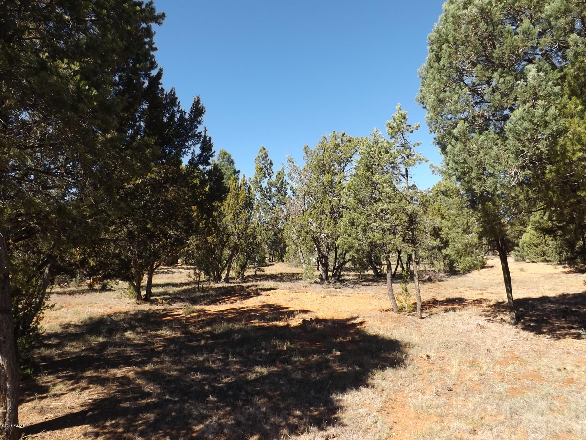 2286 Spitfire Drive Overgaard, AZ 85933 - Photo 2 of 9