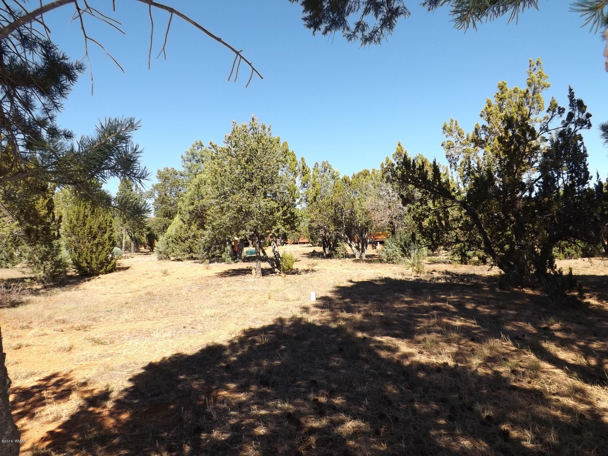 2286 Spitfire Drive Overgaard, AZ 85933 - Photo 3 of 9