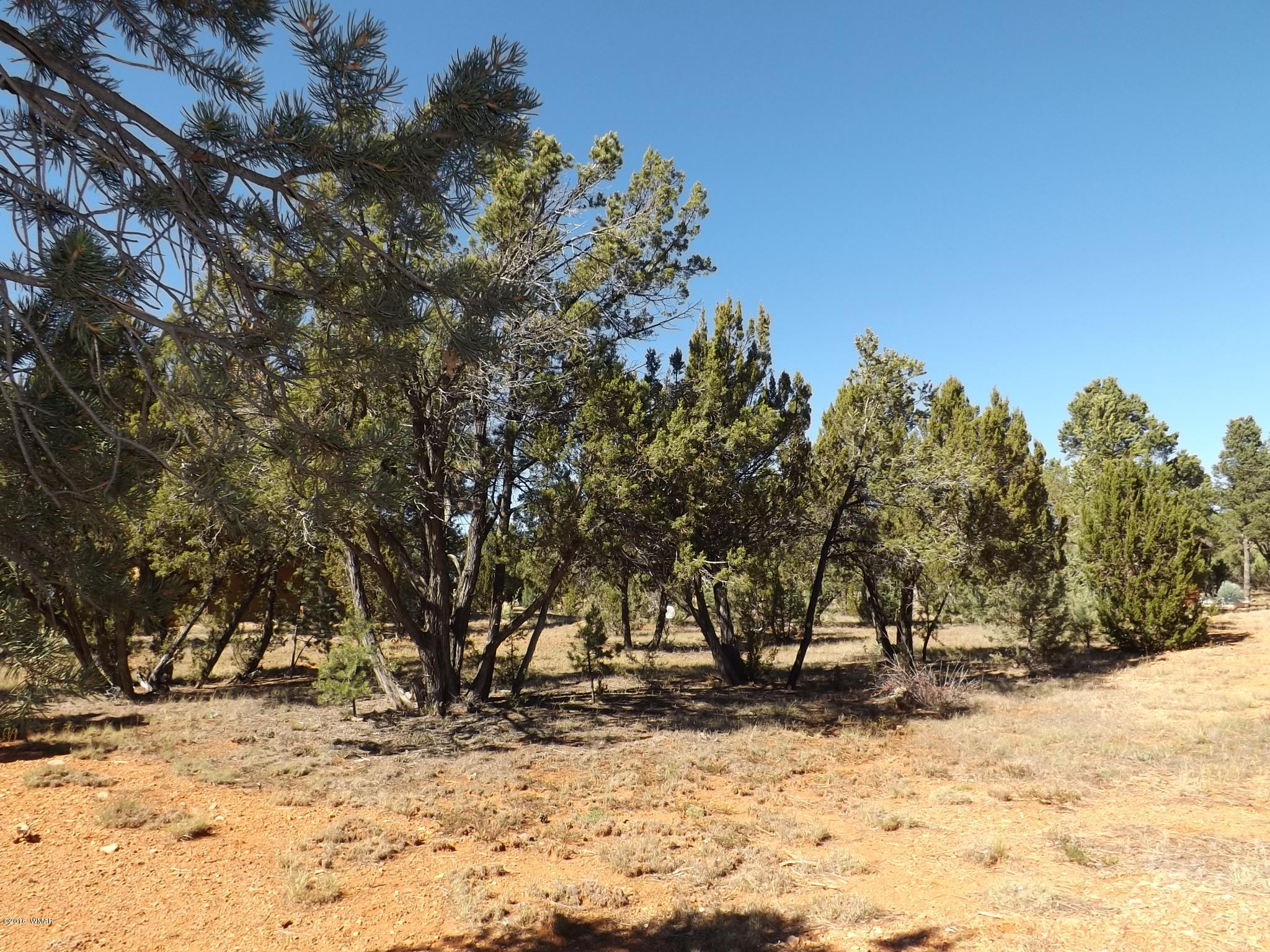 2286 Spitfire Drive Overgaard, AZ 85933 - Photo 4 of 9