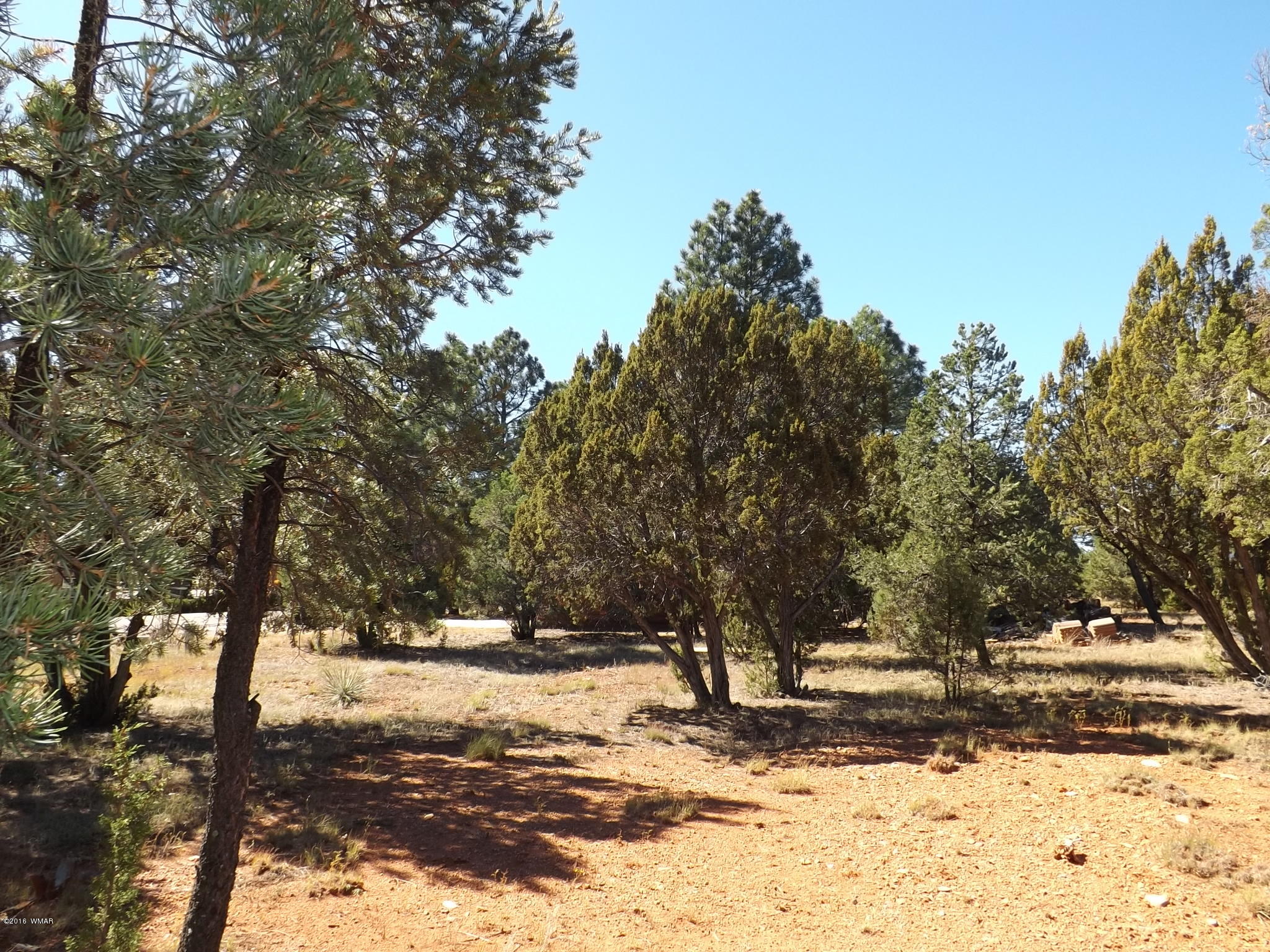 2286 Spitfire Drive Overgaard, AZ 85933 - Photo 6 of 9