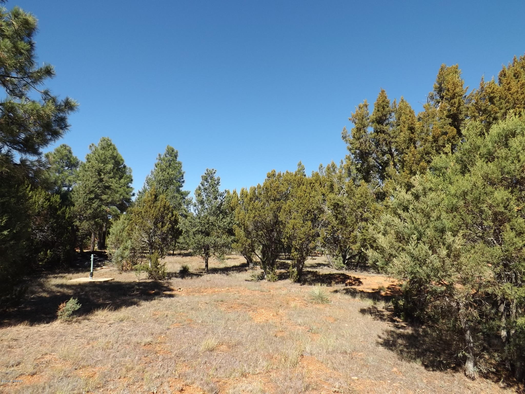 2286 Spitfire Drive Overgaard, AZ 85933 - Photo 7 of 9