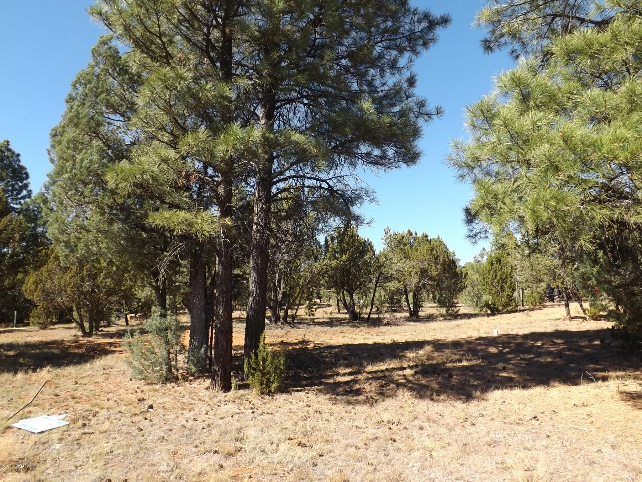 2286 Spitfire Drive Overgaard, AZ 85933 - Photo 9 of 9