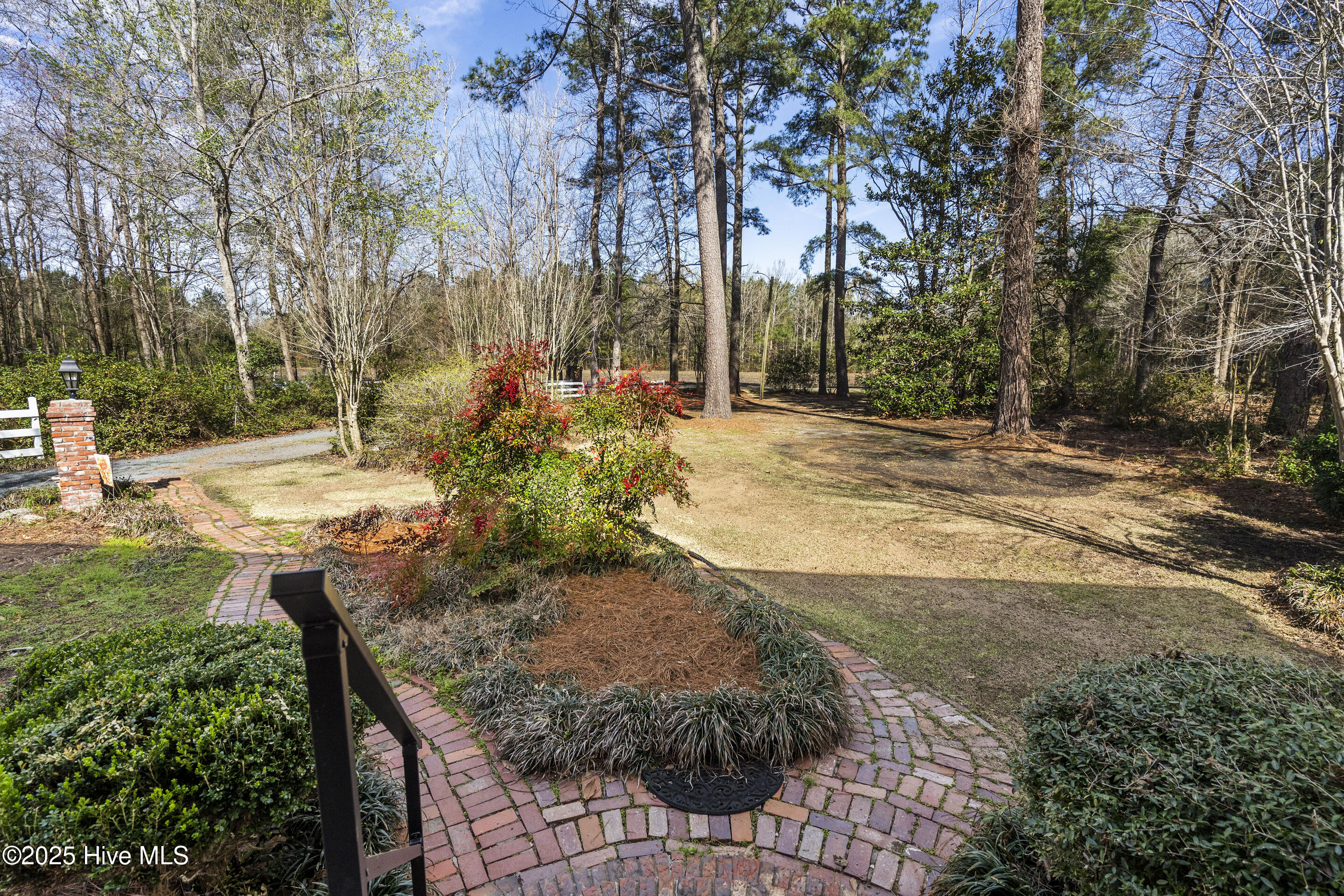 384 Crooked Run Road Willard, NC 28478 - Photo 4 of 55 384 crooked run 40