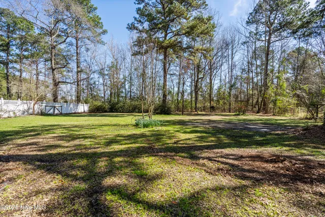 $785,000 | 384 Crooked Run Road, Willard, NC 28478