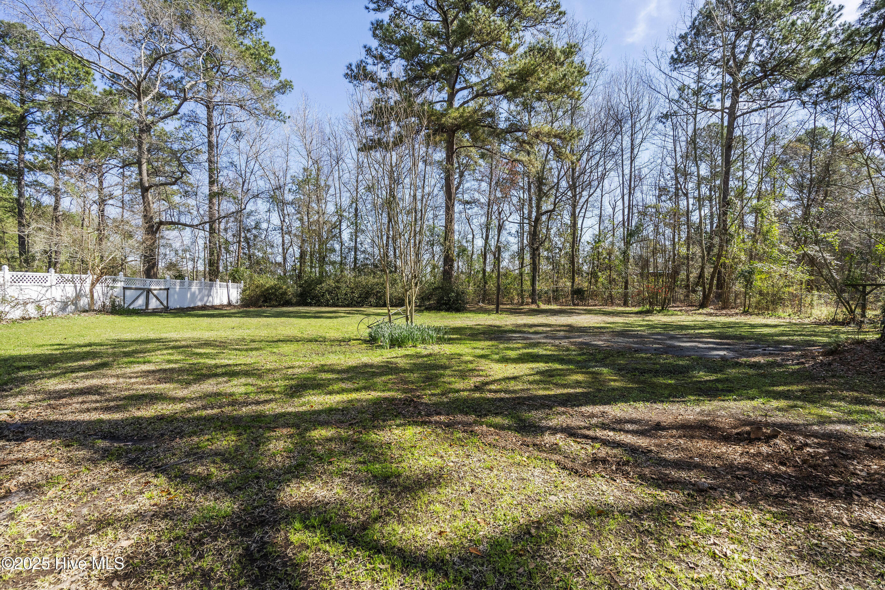 384 Crooked Run Road Willard, NC 28478 - Photo 42 of 55 384 crooked run 51